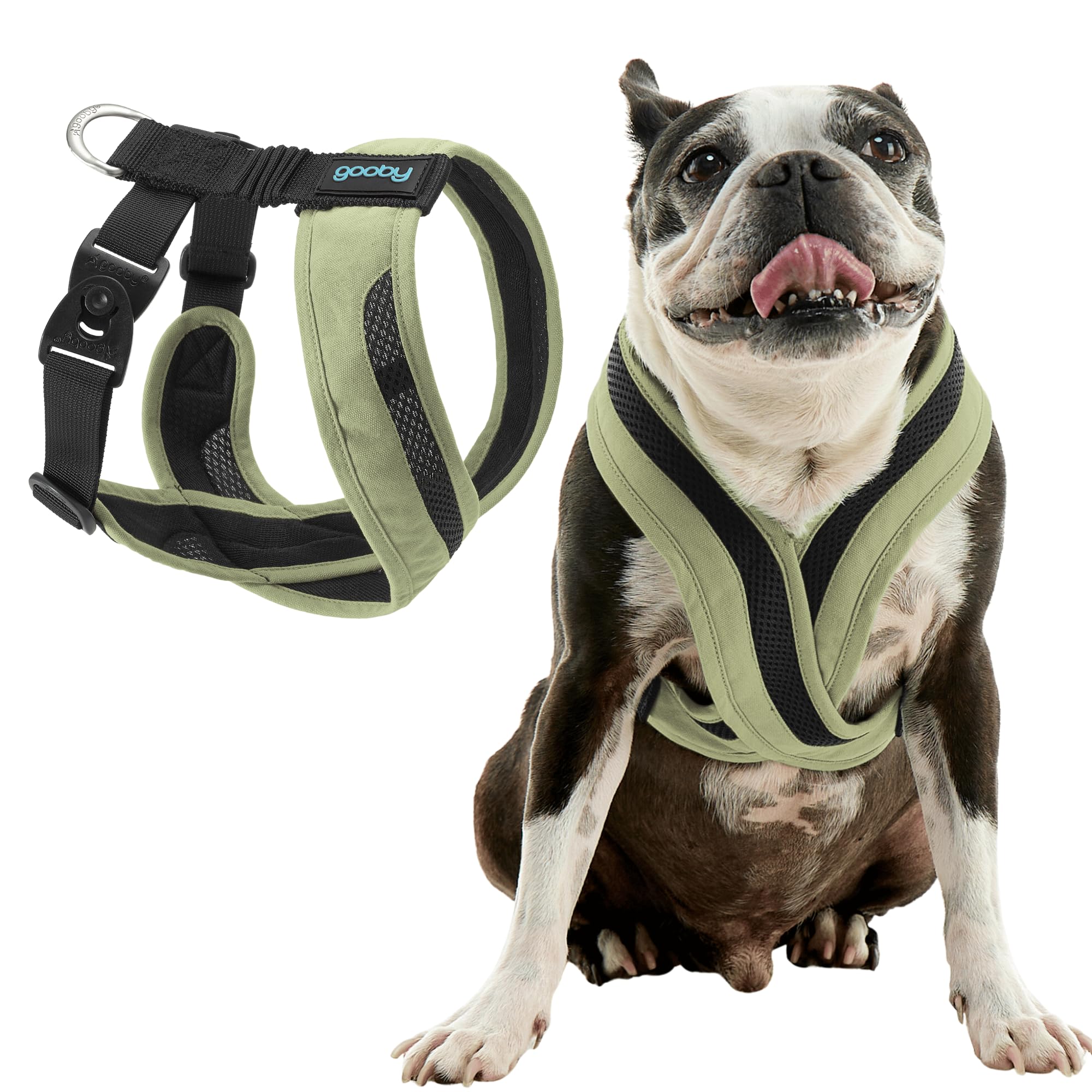 Harness